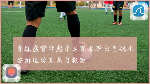 鲁媒盛赞邱彪季后赛表现出色战术安排堪称完美与极致