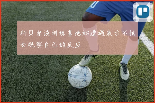 科贝尔谈训练基地蛇遭遇表示不怕会观察自己的反应
